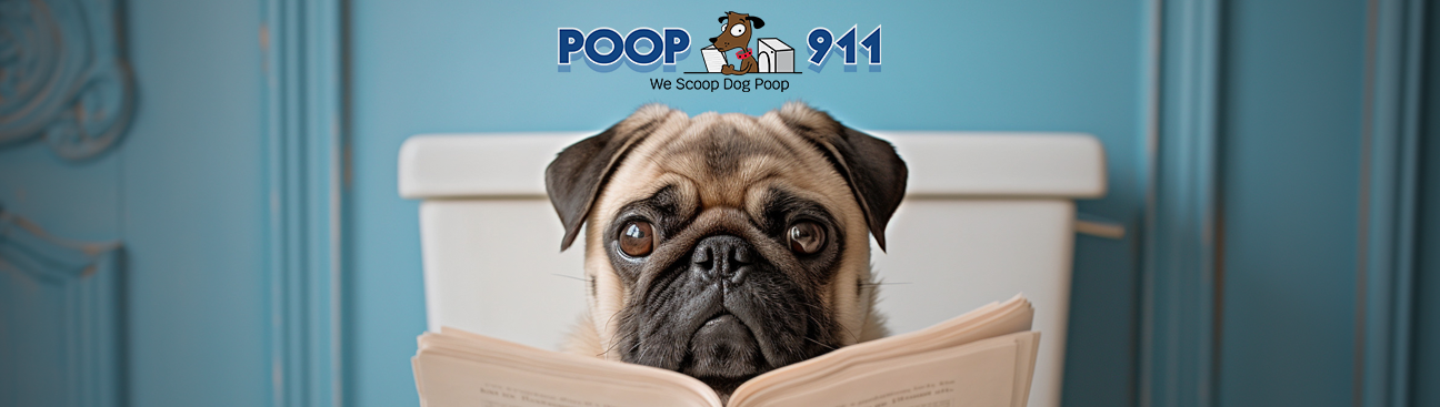 Charlotte Poop 911's cover image