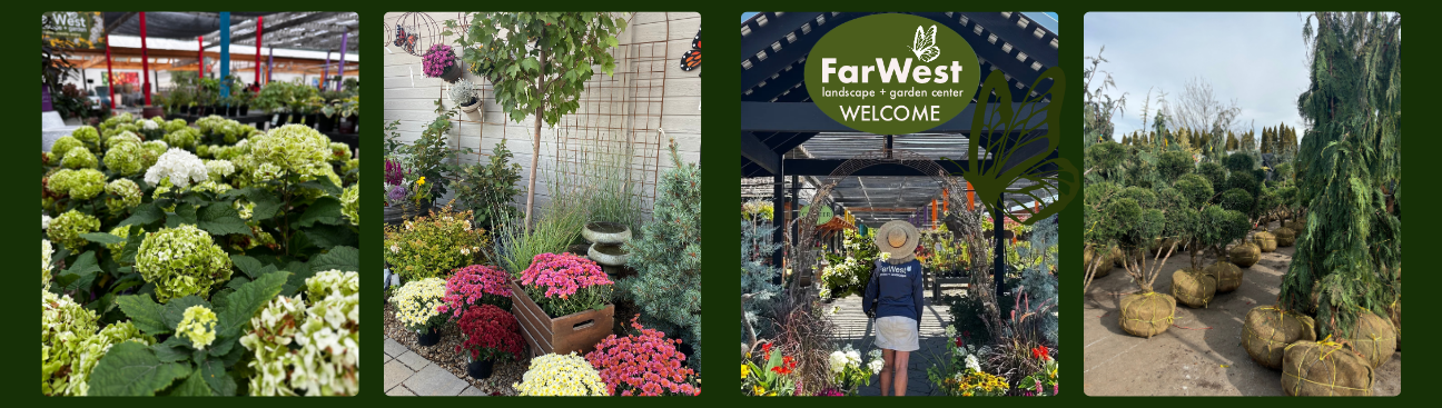 Far West Landscape & Garden Center's cover image