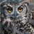 Glen Appelbaum's profile image