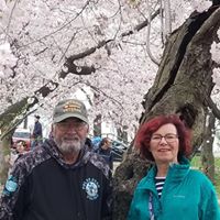 Pat-Joyce Droney's profile image
