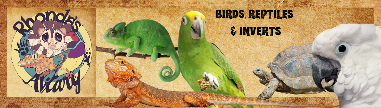 Rhonda's Aviary's cover image