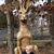 LeAnn Phelps's profile image