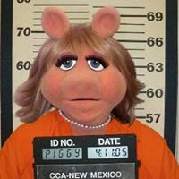 IC Sailor's profile image