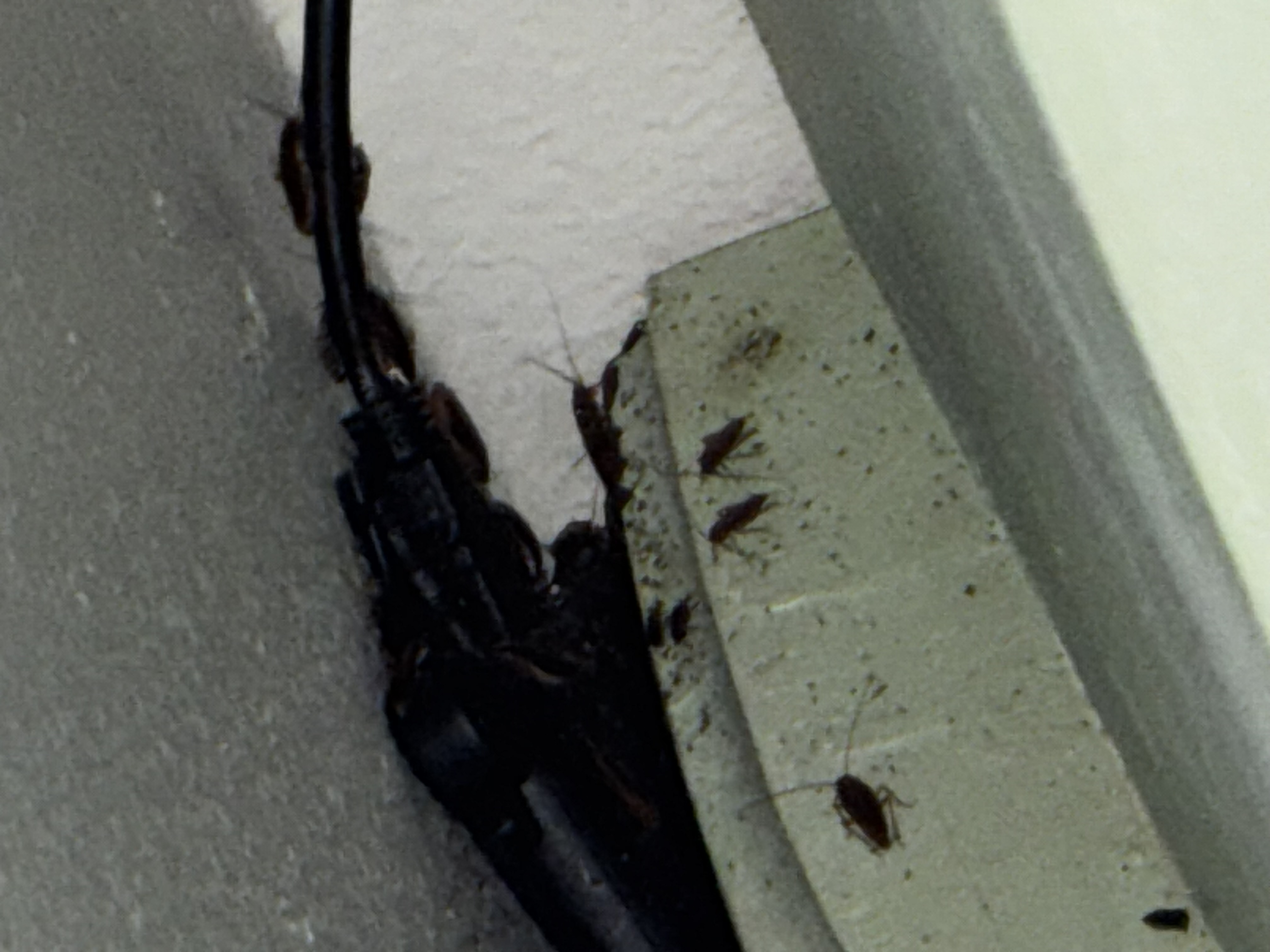 K T.'s post 1