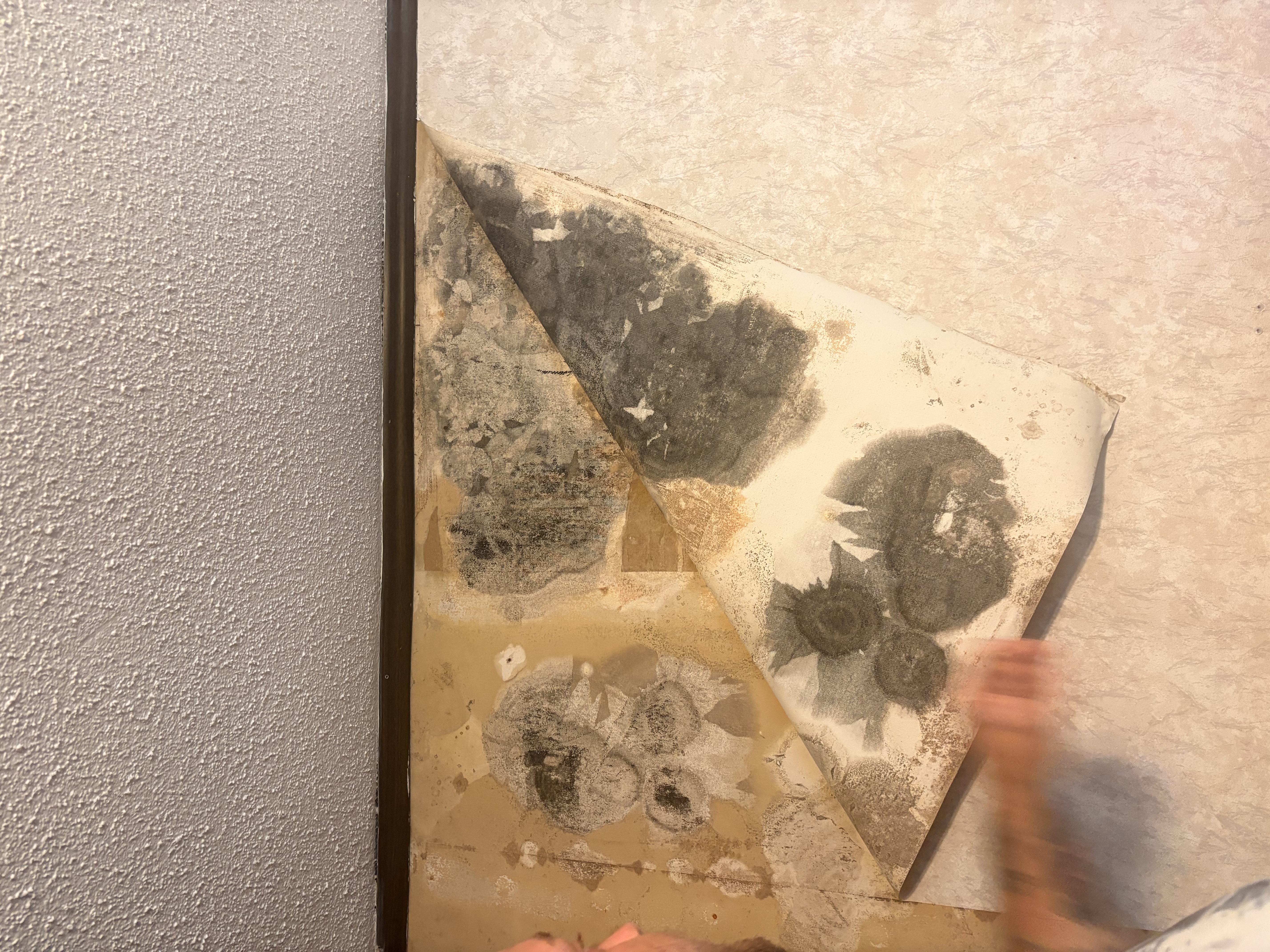 Heather S.'s post 4