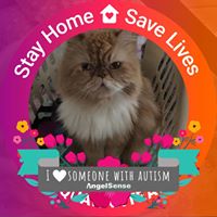 Karen Allee's profile image