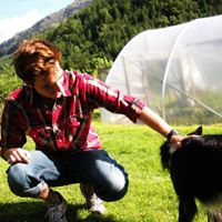 Kyle Rogan's profile image