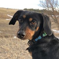 Steve Myers Allen-Shinn's profile image