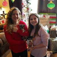 Carissa Hearn's profile image