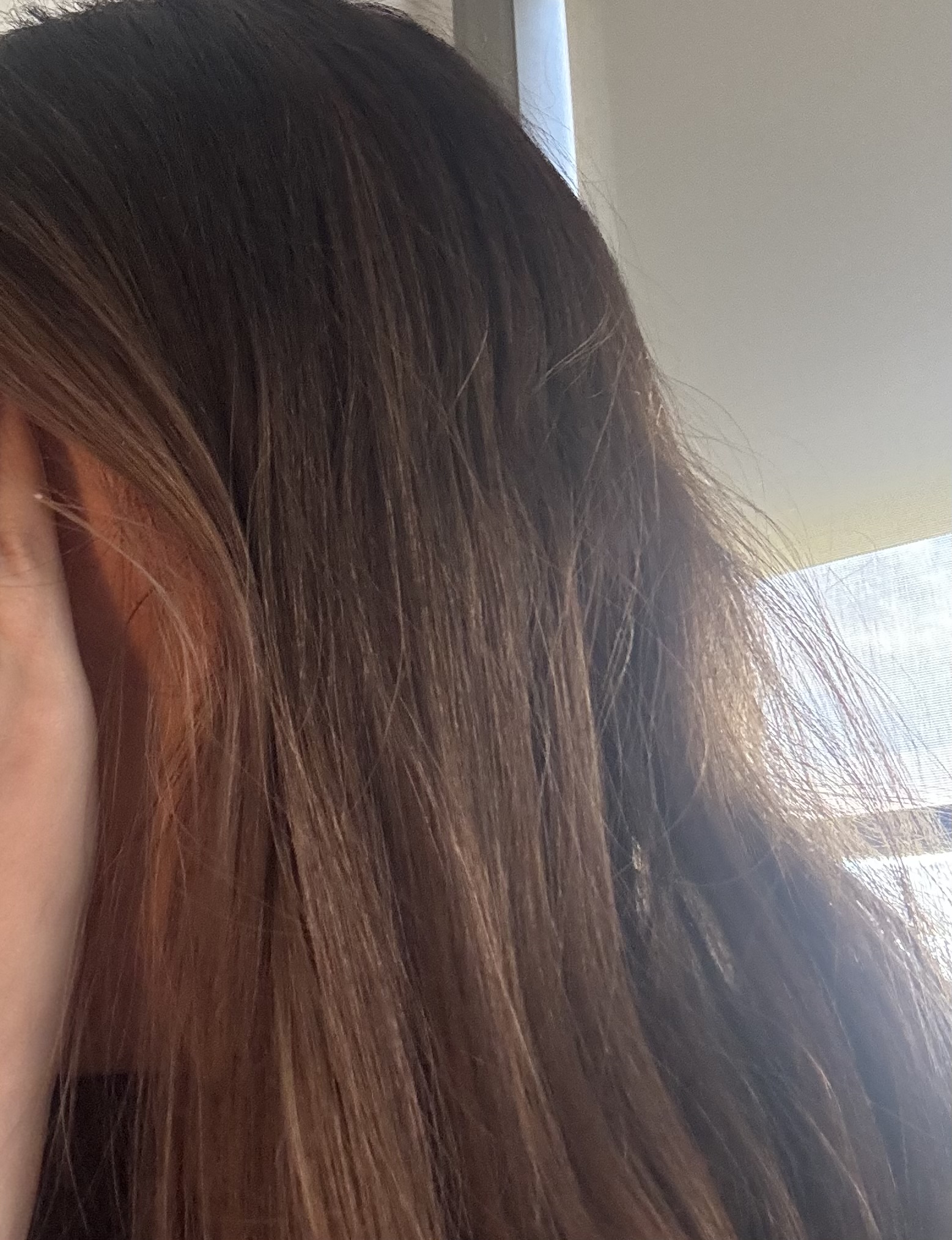 Julia L.'s post 1