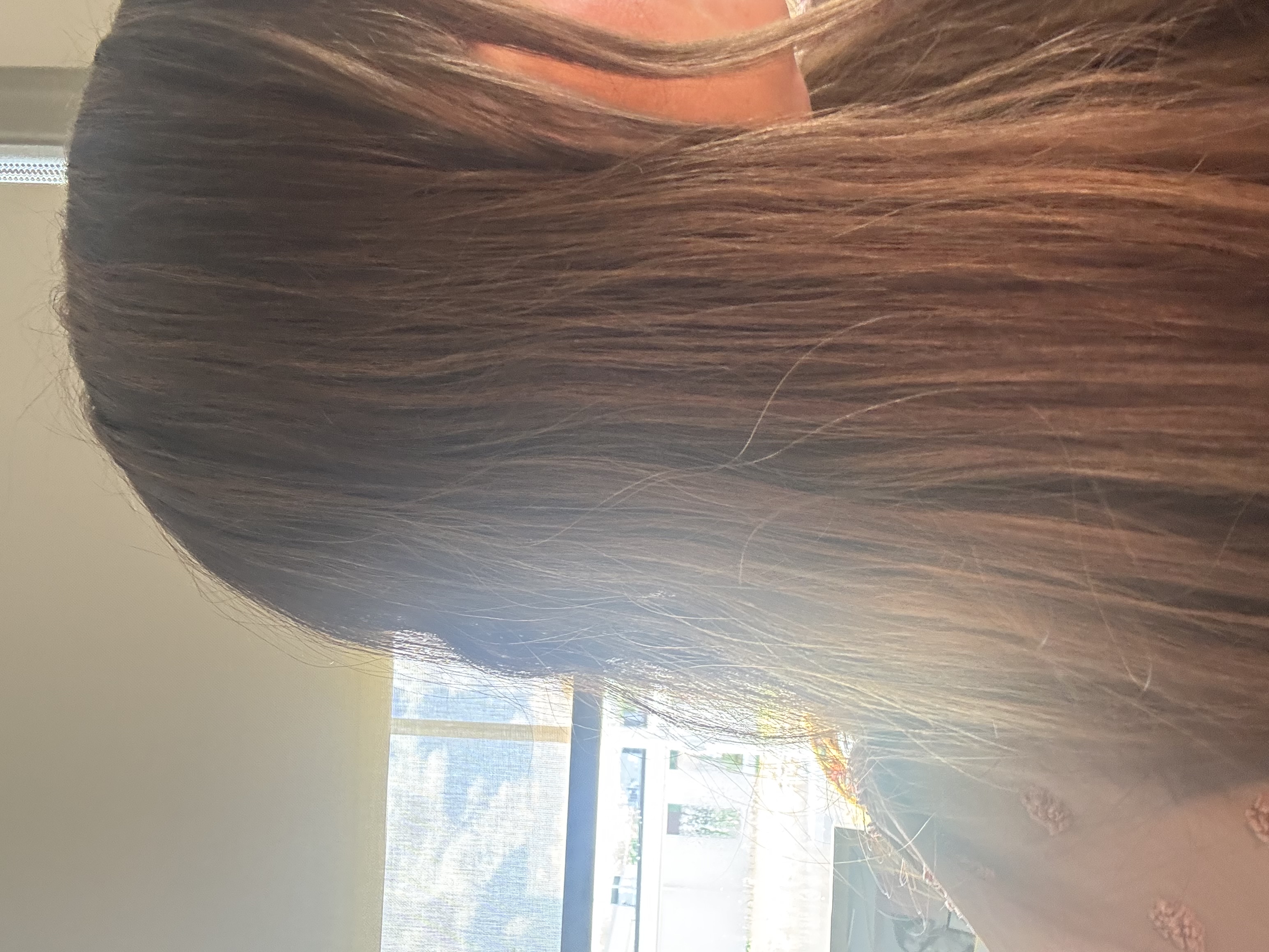 Julia L.'s post 2