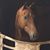 Angie McConkey's profile image