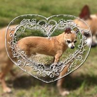 Slater Francys's profile image