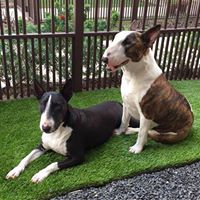 Agnes Holden's profile image