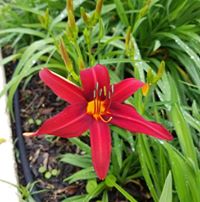 Debbie Hunt's profile image