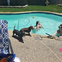 Terry Simmons's profile image