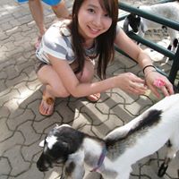 Wan Jou Lin's profile image