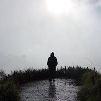 Tal Ozeri's profile image