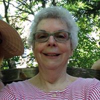 Linda Curry's profile image