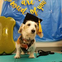 Laura Rehberg Hogue's profile image