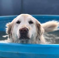 Shannon Galloway Doty's profile image