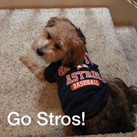 Denise Barker DeWitt's profile image