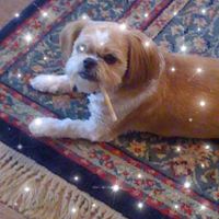 Jd Osborn's profile image