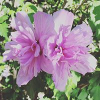 Linda Kasten's profile image