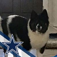 Susan C. Robertson's profile image