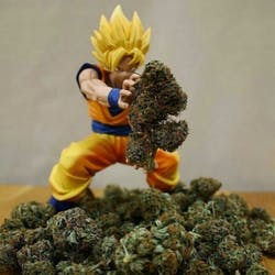 Blazin_Saiyan's profile image