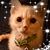 Whitney Matthews's profile image