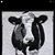 Kathy Gregory Byrd's profile image