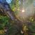 Abundance Eternity Prosperity's profile image