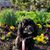 Cheryl Zwoyer Cass's profile image