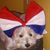 Lisa Munoz's profile image