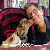 Cheryl Fialkin's profile image