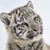 Rebecca Edgerton Garrison's profile image