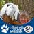 Nina Fischesser's profile image