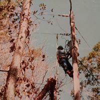 Sherrill Lowe's profile image