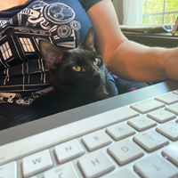 Michelle Seigler's profile image