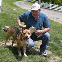 Joseph S Bober's profile image