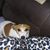 Nelly Fisco's profile image