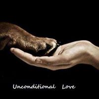 Mary Bullivant's profile image