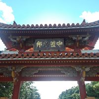 Susanne Beadore's profile image