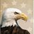 Grant Rosensteel's profile image