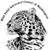 Shelleen Mathews's profile image