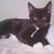 Lynda Huffman Key's profile image