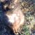 Glenda Cornett's profile image