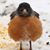 Simon Limon's profile image