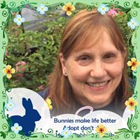 Joanne C. Kaplita's profile image